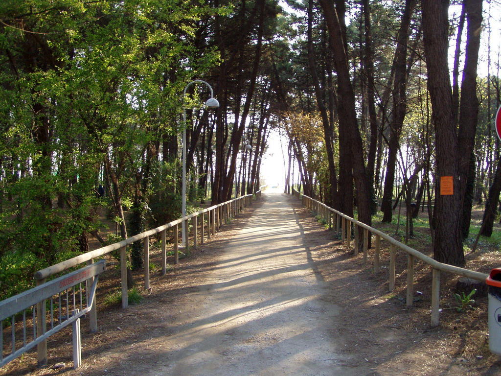 Hotel Meeting Cesenatico Εξωτερικό φωτογραφία